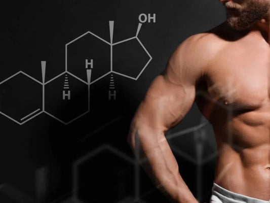 ¿Qué es la Aromatasa y Por Qué Está Saboteando Tu Testosterona?